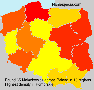 Malachowicz Malachowicz