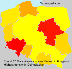 Maliszkiewicz Maliszkiewicz