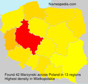 Marzynski Marzynski