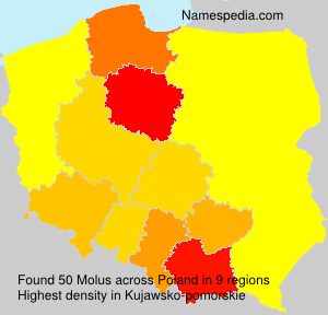 Molus Molus