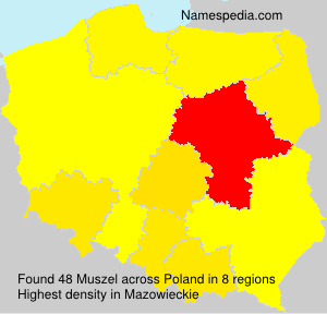 Surname Muszel in Poland Surname Muszel in Poland