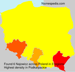 Najowicz Najowicz