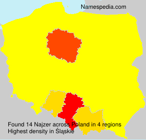 Najzer Najzer