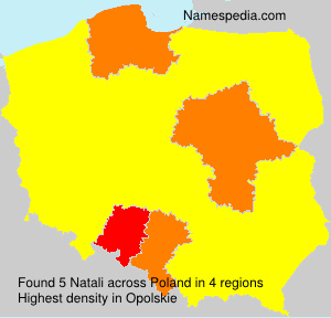 Natali Natali