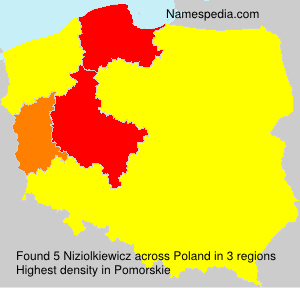Niziolkiewicz Niziolkiewicz