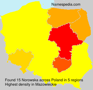 Norowska Norowska