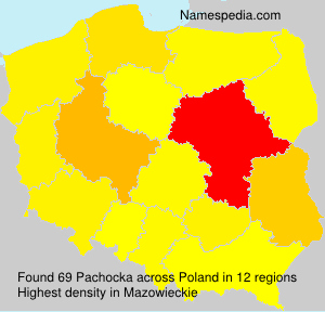 Surname Pachocka in Poland Surname Pachocka in Poland