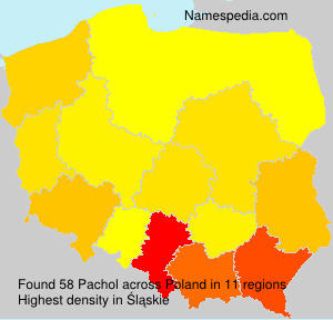 Surname Pachol in Poland