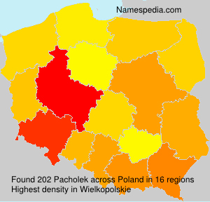 Surname Pacholek in Poland Surname Pacholek in Poland