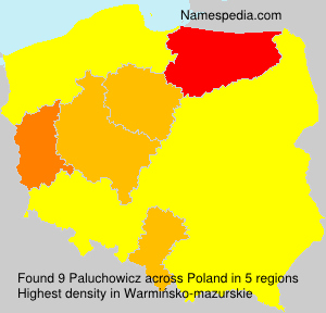 Paluchowicz Paluchowicz