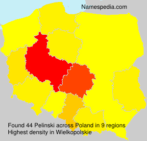 Surname Pelinski in Poland Surname Pelinski in Poland