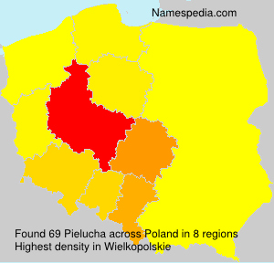 Surname Pielucha in Poland Surname Pielucha in Poland