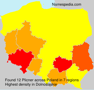 Surname Plicner in Poland Surname Plicner in Poland