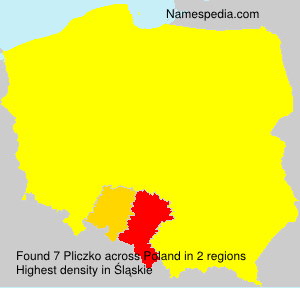 Pliczko Pliczko