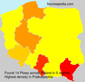 Plowy Plowy