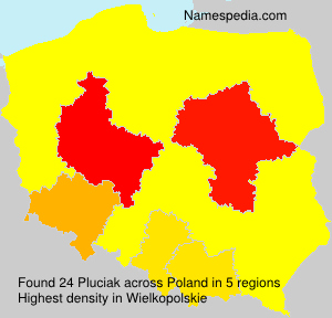 Pluciak Pluciak