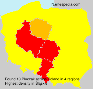 Pluczak Pluczak