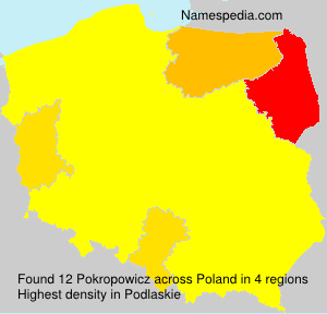 Surname Pokropowicz in Poland Surname Pokropowicz in Poland