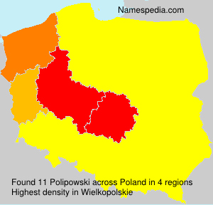 Polipowski Polipowski