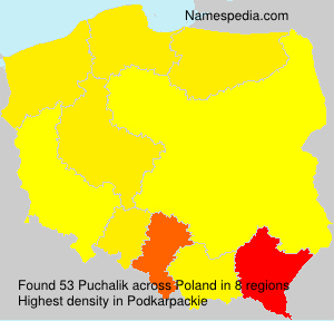 Surname Puchalik in Poland