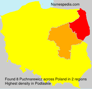 Puchnarewicz Puchnarewicz
