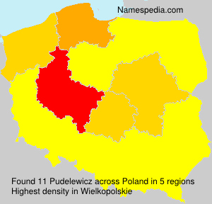 Pudelewicz Pudelewicz