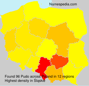 Pudo Pudo
