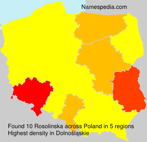 Rosolinska Rosolinska