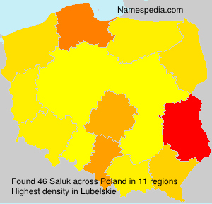 Surname Saluk in Poland Surname Saluk in Poland
