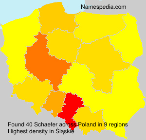 Surname Schaefer in Poland Surname Schaefer in Poland