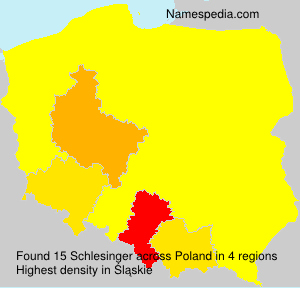 Schlesinger Schlesinger