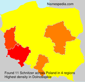 Surname Schnitzer in Poland Surname Schnitzer in Poland