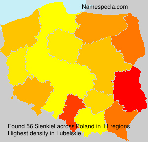 Sienkiel Sienkiel