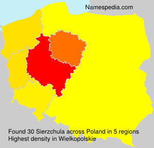Surname Sierzchula in Poland Surname Sierzchula in Poland