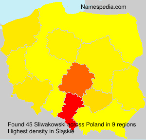 Surname Sliwakowski in Poland Surname Sliwakowski in Poland