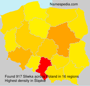 Surname Sliwka in Poland