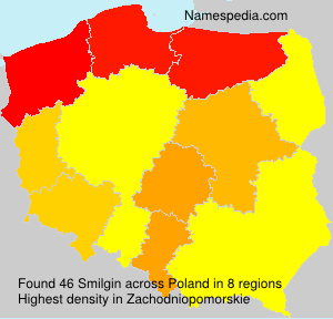 Surname Smilgin in Poland