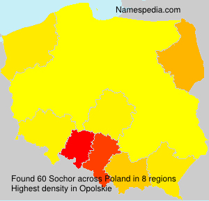 Surname Sochor in Poland Surname Sochor in Poland
