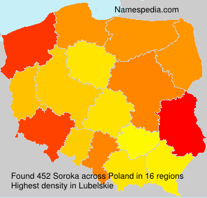 Soroka Soroka