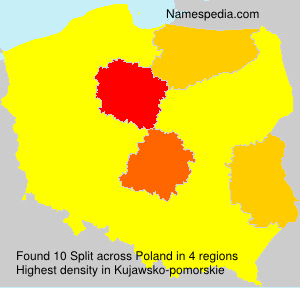 Surname Split in Poland Surname Split in Poland