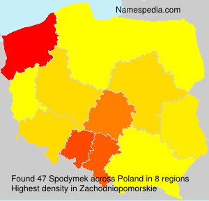Spodymek Spodymek
