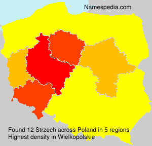 Surname Strzech in Poland