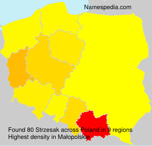 Surname Strzesak in Poland Surname Strzesak in Poland