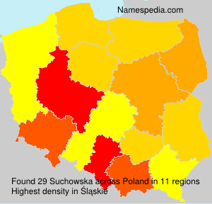 Suchowska Suchowska
