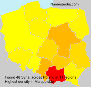 Synal Synal