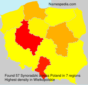 Synoradzki Synoradzki