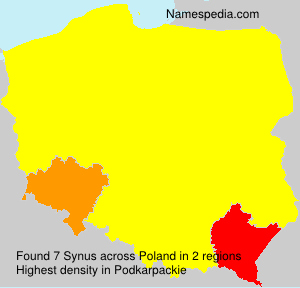 Surname Synus in Poland Surname Synus in Poland
