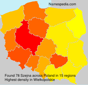 Szejna Szejna