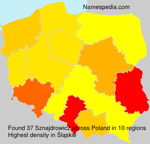 Surname Sznajdrowicz in Poland Surname Sznajdrowicz in Poland