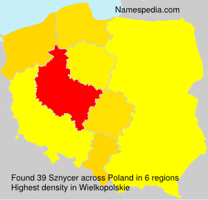 Surname Sznycer in Poland Surname Sznycer in Poland